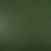 SECONDS 2 - 2.5mm Green Lamport Leather 30 x 60cm